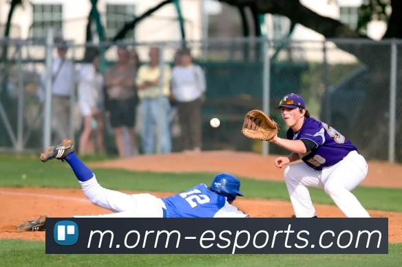 体育下注品牌故事